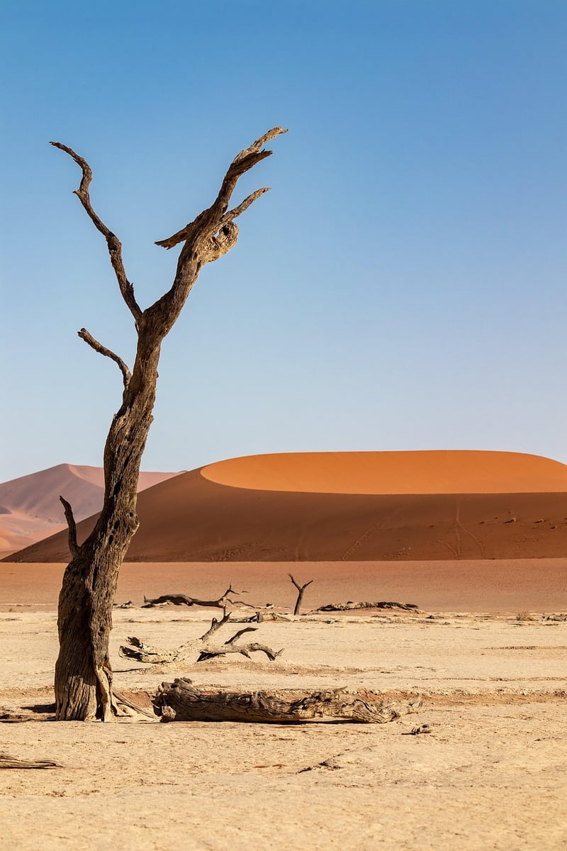 Sossusvlei Desert Camp